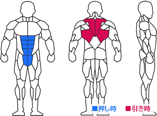 トレーニング部位