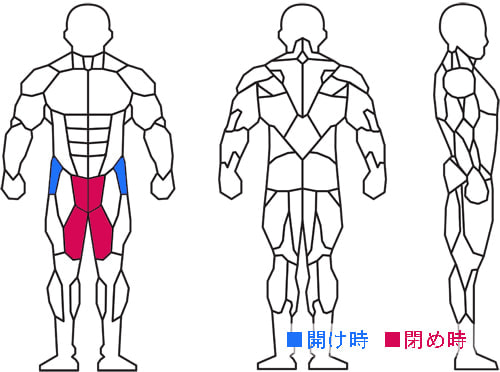 トレーニング部位